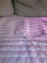 sweettsofiaa webcam model stream image