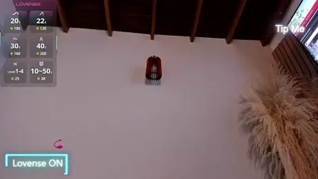 neo_dimou_ webcam model stream image