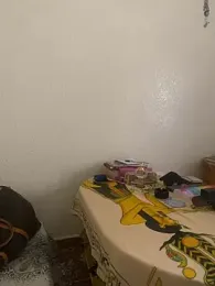 Ashwak_trans webcam model stream image