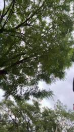 Outdoorsd webcam cam4 model stream image