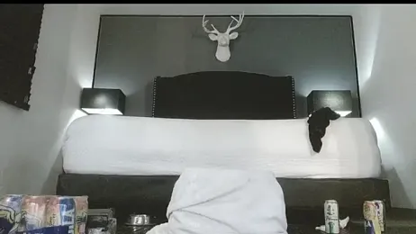 danilog515 webcam stripchat model stream image