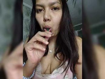 Geritsme webcam model stream image