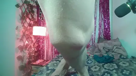 princesskitty111 webcam model stream image