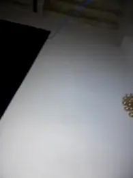 Goddess_Naughty webcam model stream image