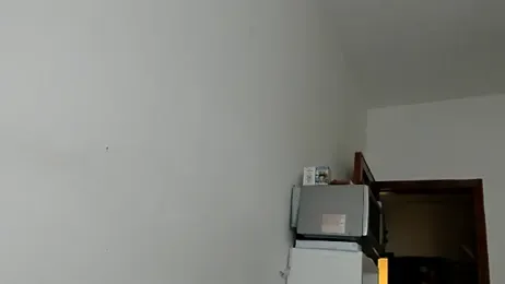 RyuKenZen webcam model stream image