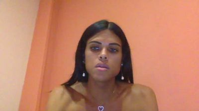 SamTRANS webcam model stream image