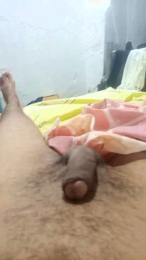 parami2 webcam model stream image