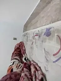 lm279 webcam model stream image