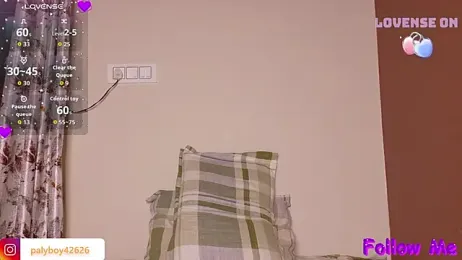 Palyboy426 webcam model stream image