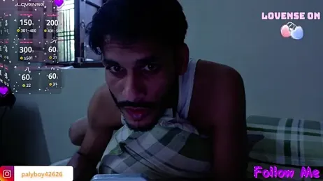 Palyboy426 webcam model stream image