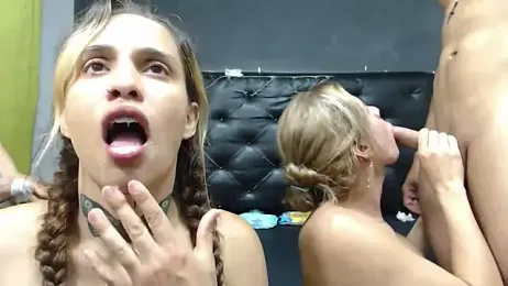 TransHotShow webcam model stream image