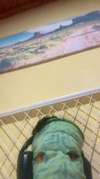 hottyboy1o webcam model stream image