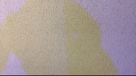 Leaf_Unto webcam model stream image