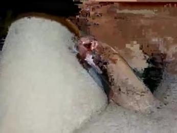 hung_mac0 webcam model stream image