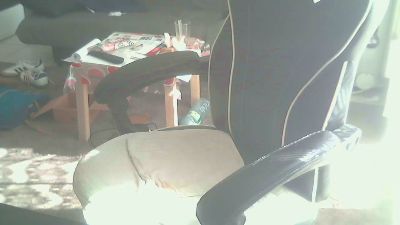 pussaddicte webcam model stream image