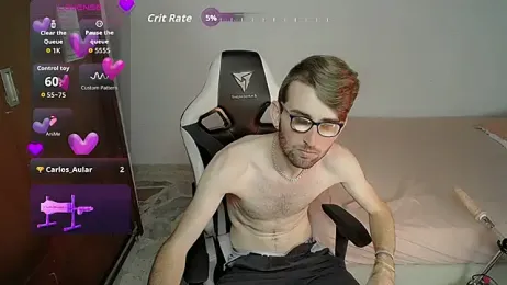 Top_and_bottom webcam model stream image