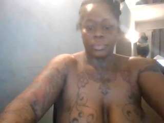 stalliontheesavage webcam model stream image