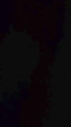 Breizer webcam cam4 model stream image