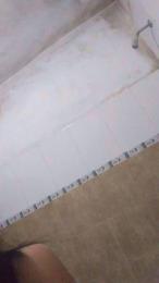 lucia254_sexy webcam model stream image