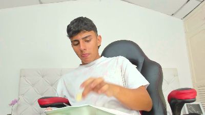 CoboStone webcam model stream image