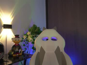 appolo_allen webcam model stream image