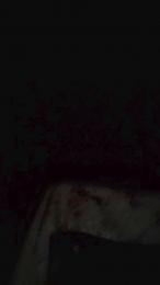 Leoo2277 webcam model stream image