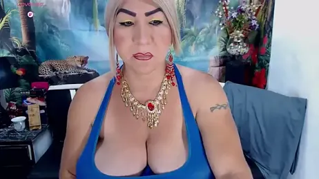 SEBAIS4YOU webcam model stream image
