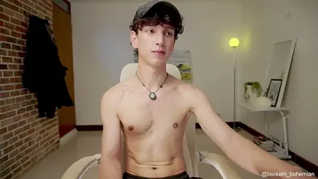 boream webcam model stream image