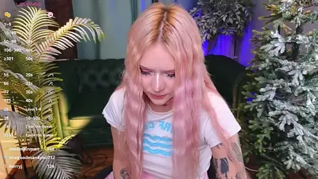 kitten_murray_ webcam model stream image