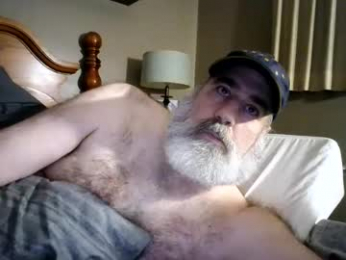 straightbear4you webcam model stream image