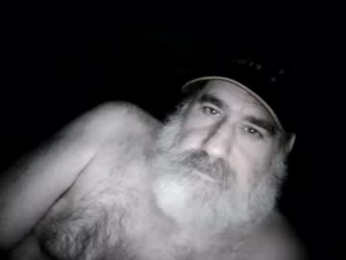 straightbear4you webcam model stream image