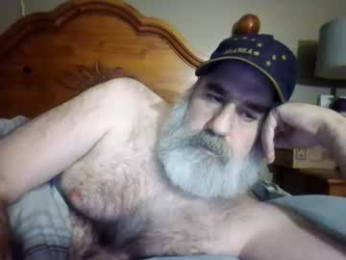 straightbear4you webcam model stream image
