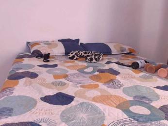 Miaroush09 webcam bongacams model stream image