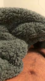 Geobari webcam cam4 model stream image