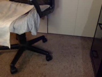 mo_cali webcam model stream image