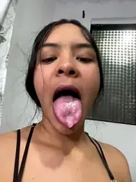 STITCHyLILO webcam model stream image