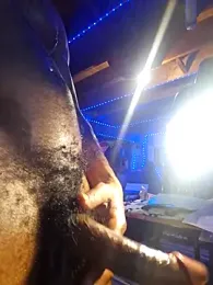 Cpp3377 webcam model stream image