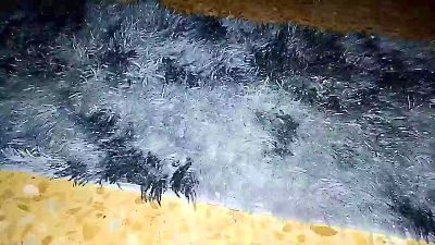 ViolaSensation webcam model stream image