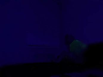 DobermanFOX webcam model stream image