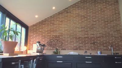 whjm webcam model stream image