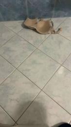 Bullnapol webcam model stream image