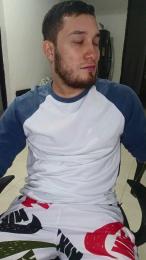 _LIONEL_ webcam model stream image