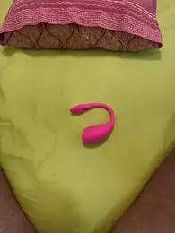 bull8_barby webcam model stream image