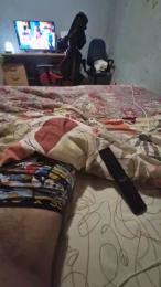 Polpex webcam model stream image