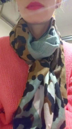 CPLHDEF webcam model stream image