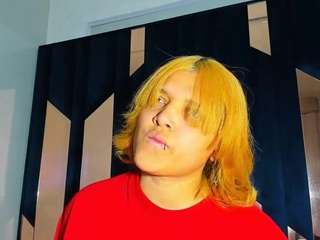 michell-rs webcam model stream image