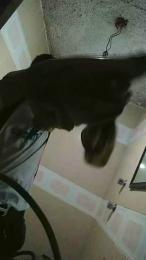 ElDemonJb webcam cam4 model stream image