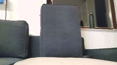 peet210 webcam model stream image