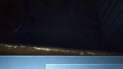 Silkworm_Piper webcam model stream image
