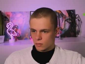 veldi_to webcam model stream image